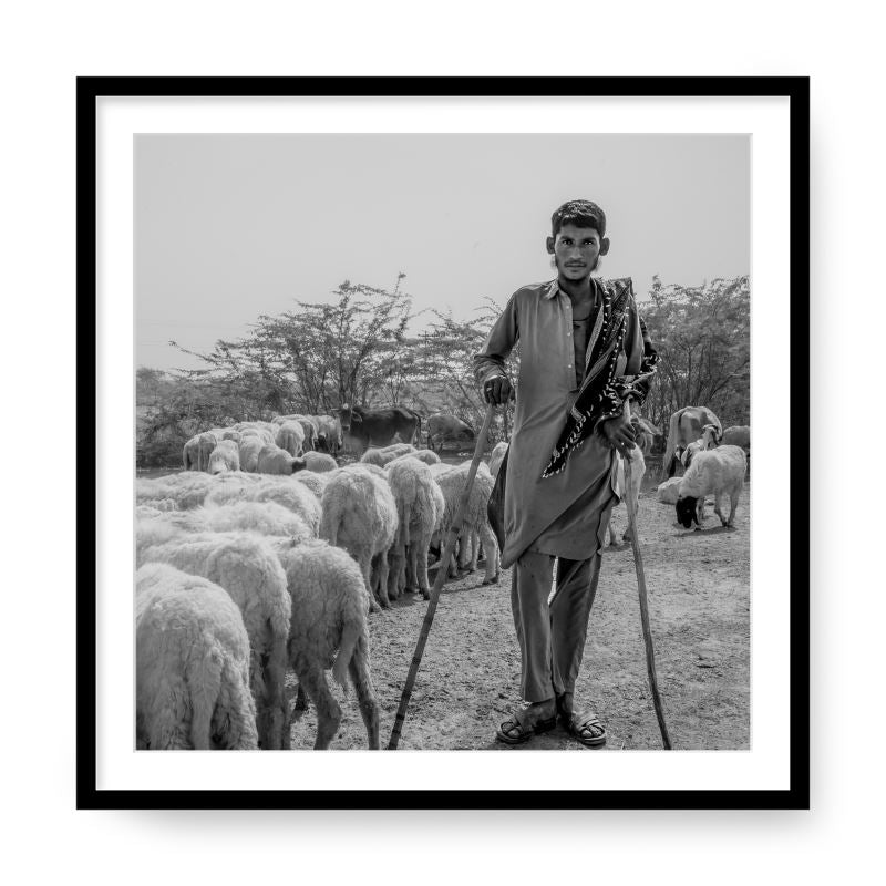 Shepherd, Rajasthan, India, 2018